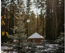 Новый год и корпоративы в усадьбе Мироедово Смоленская область фото 04 - елка и дом зимой